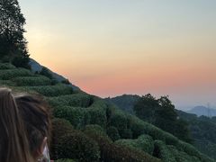 -午潮山国家森林公园