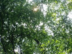 -崂山九水游览区