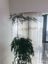 -HEYAN荷妍专业脱毛连锁机构