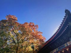 -香山公园