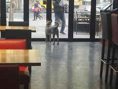 -Cactus墨西哥仙人掌餐厅