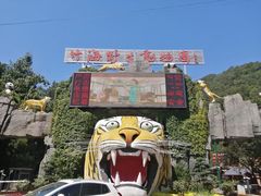 -栾川竹海野生动物园