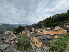 -杨家堂村