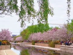 -元大都城垣遗址公园