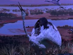 -中国湿地博物馆