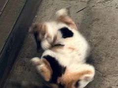 -么么咖啡(燕郊店)