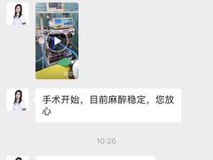 -宠爱国际动物医院· 猫科· 外科·中兽医(长白店)