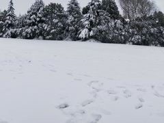 -春兰国宾馆(凤城河风景区老街店)