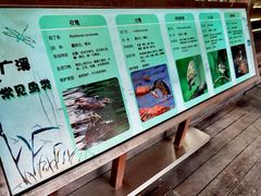 -长广溪湿地公园