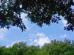 -老象峰