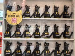 -猫咪博物馆(顶澳仔猫街店)