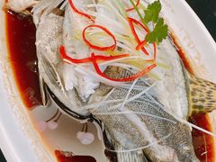 -好妈王饺子(滂江街店)