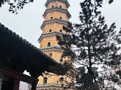 -晋祠公园
