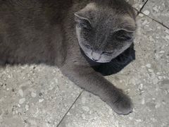 -NOTOOCAFE不二咖啡馆(岩前店)