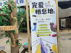 -DGE季风钓虾营地·团建·聚会