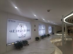 -单色舞蹈