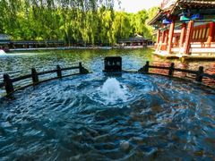 -百脉泉景区