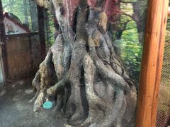 -上海大自然野生昆虫馆(东方明珠·爬宠昆虫探索中心)