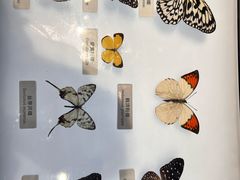 -中国湿地博物馆