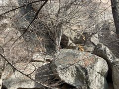 -崂山巨峰游览区