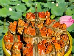-七的湖·晚芳亭·阳澄湖农家菜·大闸蟹(莲花岛店)