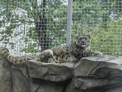 -青藏高原野生动物园