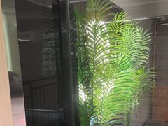 -耳湾躺式采耳SPA馆(保利五月花店)