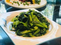 清炒小白菜-聚缘堂·海鲜私房菜(松岭路店)