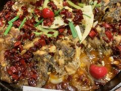 -老板恋上鱼(高新万达店)