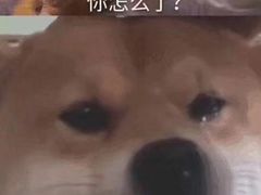 -小艾家的炒饭(万新村店)