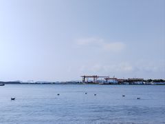 -烟墩角天鹅湖