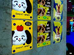 -萌物合辑(新中关购物中心店)