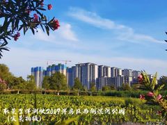 -洋湖国家湿地公园