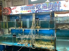 水产区-东极岛海鲜