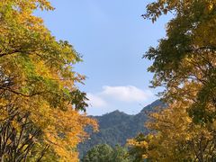-浙江安吉JW万豪酒店