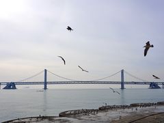 -星海广场