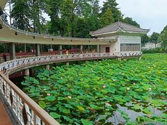 -荔湾湖公园