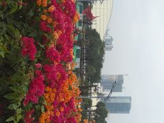 -云溪植物园