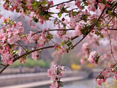 -海棠花溪(元大都城垣遗址公园)