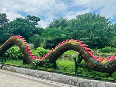 -巢湖姥山岛