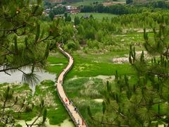 -泸沽湖国家级风景名胜区走婚桥