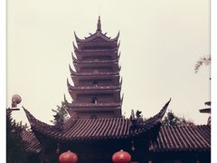 -生宇山珍野生菌汤锅•始于1999(双流古塔店)