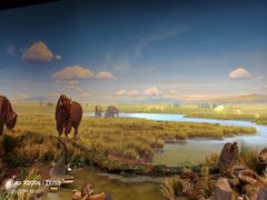 -陕西自然博物馆