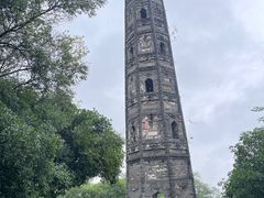 -上海佘山国家森林公园天马山园