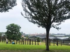 -莫子山公园