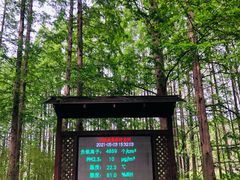 -黄海国家森林公园