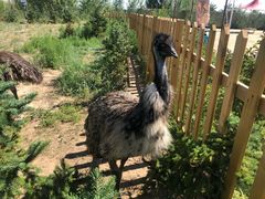 -亿利库布其七星湖沙漠生态旅游区