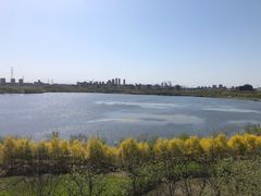 -天津东丽湖风景区