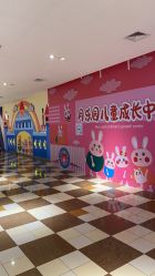 -巧虎欢乐岛(常营华联店)