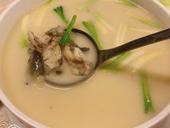 -外沙疍家棚酒楼